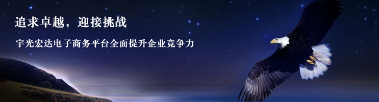 北京宇光宏达竭力为各公司打造专业的电商平台、小程序、网上商城系统研发解决方案和电商运维等服务